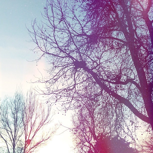 bryangle:  Taken with instagram 