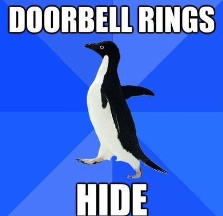 Socially awkward penguin