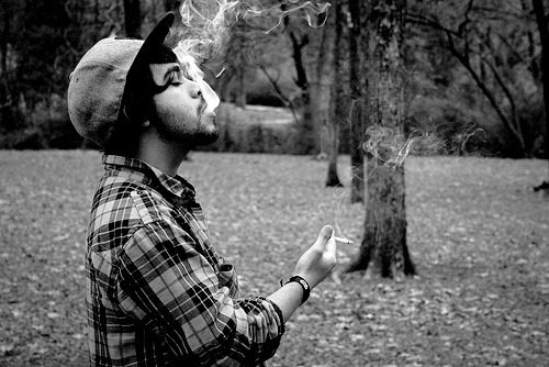 detida-por-ser-livre:  Porque maconha, meu irmão não pode lhe prejudicar! Planet Hemp 