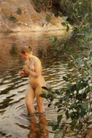 Anders Zorn adult photos