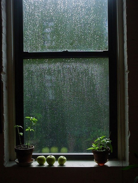 wxynz.tumblr.com/post/20684976867/