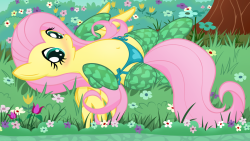 Panties and Stockings for Fluttershy by ~JungleAnimal