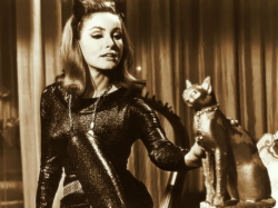 dominalova:  Julie Newmar’s Catwoman had
