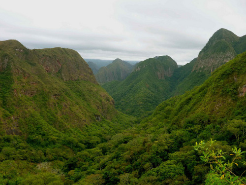 by Cute Kitten on Flickr.Landscape in Parque Nacional Amboro, Bolivia.