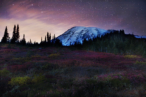 gofuckingnuts:  Dark Paradise on We Heart It. http://weheartit.com/entry/23167591