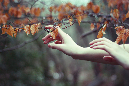 Every emotion is a color