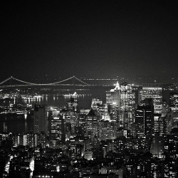 ruineshumaines:  new york from the esb (by