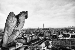 suneilsmalhotra:  Notre Dame Gargoyle Eying the Eiffel Tower Paris, France 