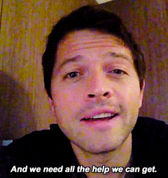 vanconcastiel:  everdeen: for more information.   THAT SMILE. TAKE EVERYTHING I HAVE.