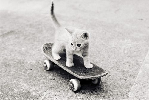 http://z4l0o.tumblr.com/post/18037263647
