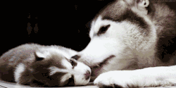 Luk3Y:  Aww 