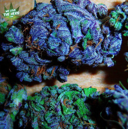 samiifbaby420:  so beautiful. 