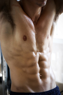 3leapfrogs:  maleros:  livinglifewithderek:  http://tinyurl.com/bq9e2oh  MALEROS:  Perfect Torso   •=• •=• •=• 3leapfrogs