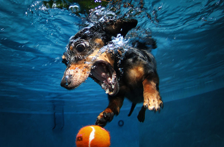 pursuitofhappyshiet:  wah 