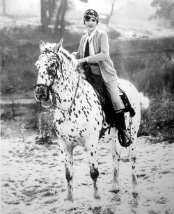 darlingohara:  Mary Astor and a beautiful