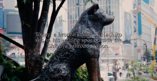 remoteash: i—-i: iam2sexy4myshirt: Hachiko, a dog who waited at the train station for his owne