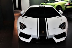 johnny-escobar:  First Aventador I’ve seen