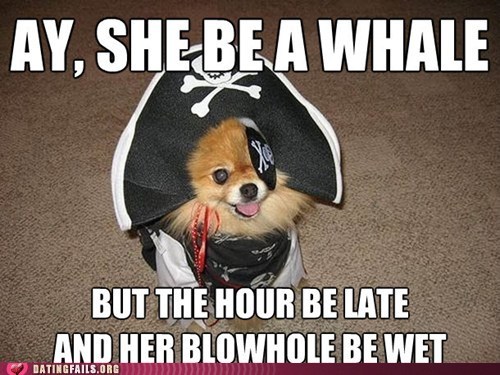darksidelawyer: DON’T DO IT CAP’N!