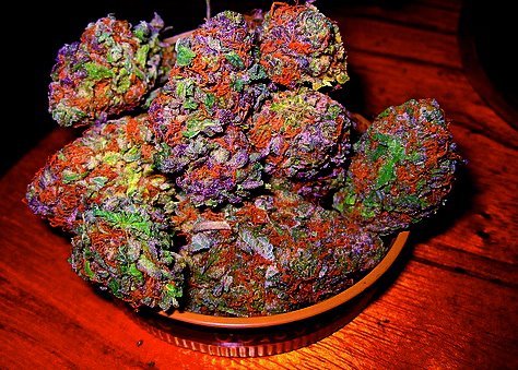 Different weed strains