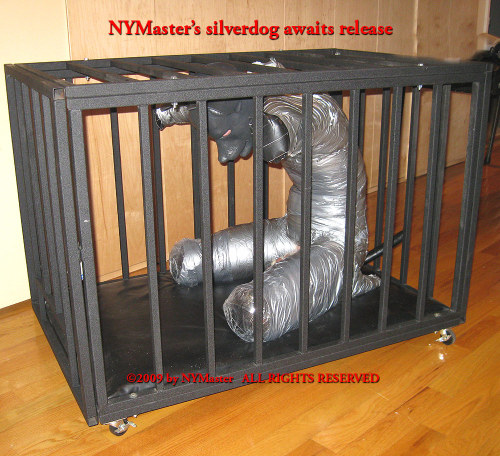 smbdboi:  Love a duct taped gimp. 