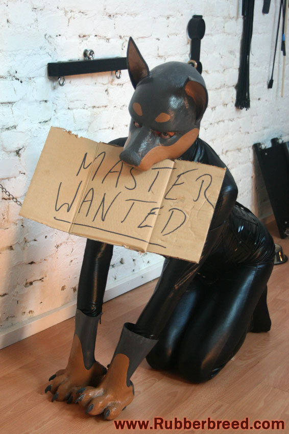 animal-play:  Master wanted…
