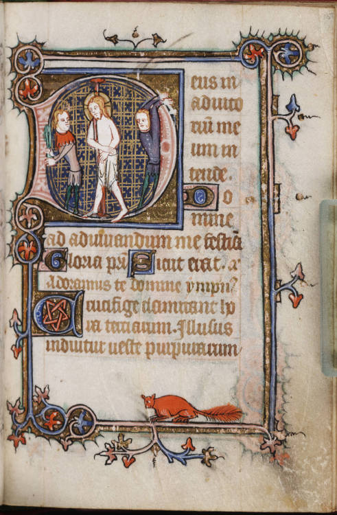 jothelibrarian: Pretty medieval manuscript of the day is a squirrel! The marginal illustration 