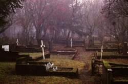 SIGHT OF THE TOMBS