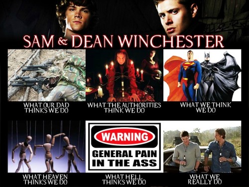 mistress-babs:its-jessk:monsterattheendofthis:spnsherry:allebsupernova:“Sam and Dean Winchester: Wha