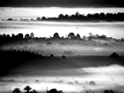 South East Queensland, Australia photo by Melanie Sinclair, 2010 via: National Geographic