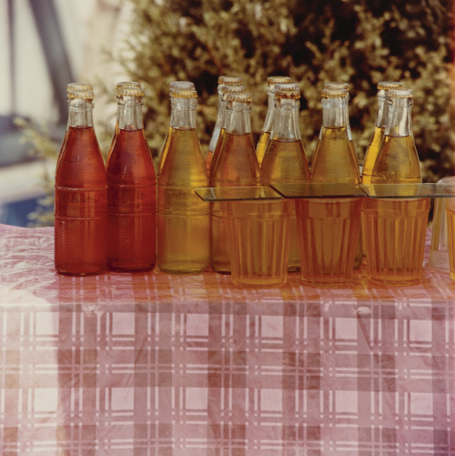 Study for Chinese Summerhall (Bottles) photo by Robert Rauschenberg, 1983