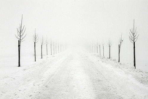 skotia:  fog (by steven.koener) 