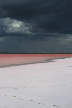  pink lake, australia 