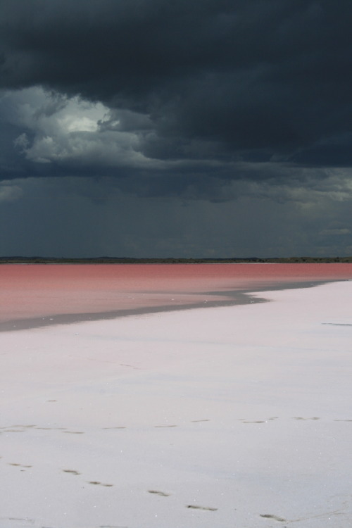 pink lake, australia  adult photos