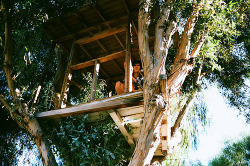 Sweet Escape