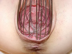 Pussy stretched by a whisk, which has the