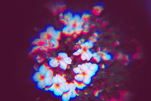acid washeddd