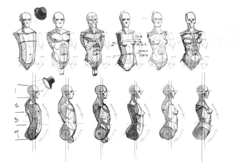 paperseverywhere:  human-proportions:  From: pachurz: porn pictures