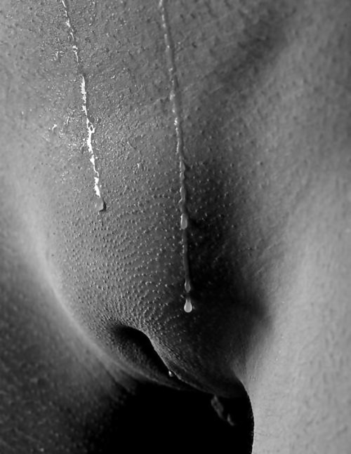 Pussy addict