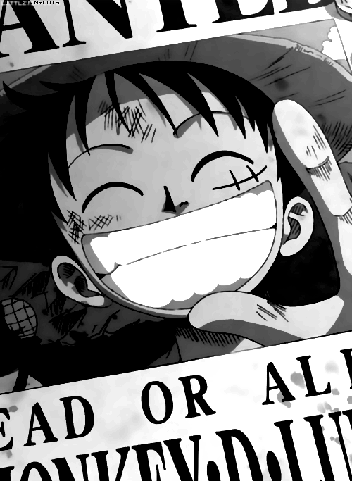 littletinydots:  Strawhat Pirates Wanted Posters 