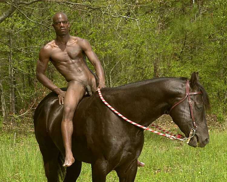 Horses