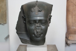 reverseracism:  theblacknationalist:  konsciousmoor:  No other cultural sculptures had the noses removed time and time again by those who took that area over. It ain’t some “The nose was the easiest thing to steal” bs either.  more like, we don’t