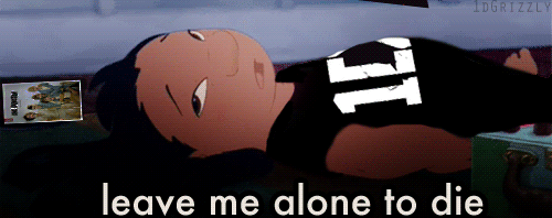 fivegaysonedirection:  A+ 