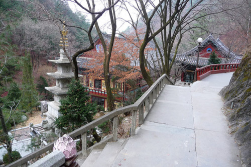 by TheFunnyBird on Flickr.The hidden temples of Guinsa, the headquarters of the Cheontae school of B