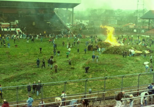 Charlton Athletic - The ValleyIn 1985 Charlton left The Valley and mother nature moved in. The Charl