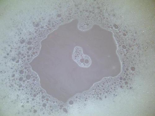 mellifluis:  .