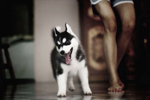 ஃWhateverஃ