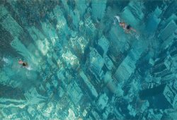 baffetti:   The eye-catching swimming pool in Mumbai, India, has been built to raise awareness about the threat of sea level rises as a result of global warming. It was constructed by attaching a giant aerial photograph of the New York City skyline to