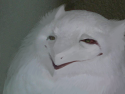 pikaballoons:  go to the phantom limbs tag otherkin pics everywhere   reblogging because the fluffy