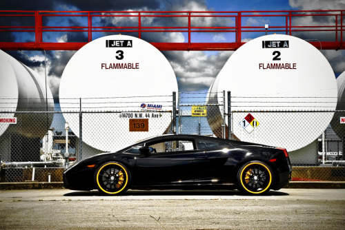 automotivated:  Rennsport and 360 Forged Black Lamborghini Gallardo On Yellow 20″ Spec Twelve | Photographs by William Stern