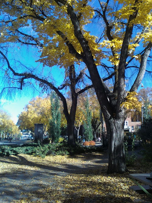 It feels like autumn when the leaves turn to red and yellow. Warm and confy to me. Photo: @UofA camp